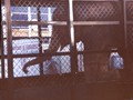 OCS 1969 (11)