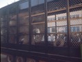 OCS 1969 (33)