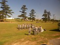 DSCN1980